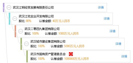 武汉江明经贸发展有限责任公司——全方位企业信息查询与商业洞察